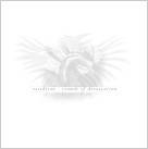 Sounds of Devastation